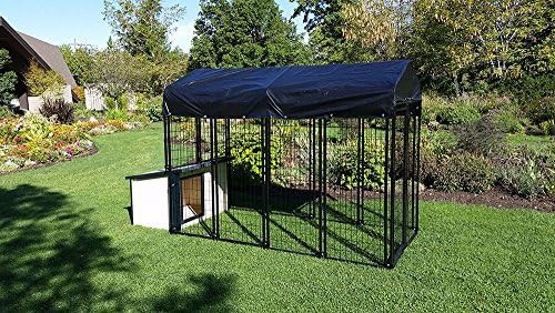 Large black K9 cabin and run — photo 4