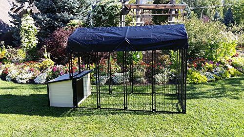 Large black K9 cabin and run — photo 5