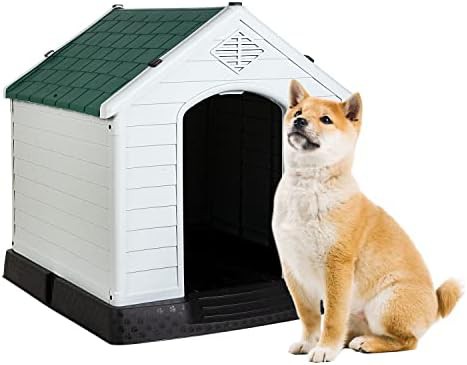 BestPet