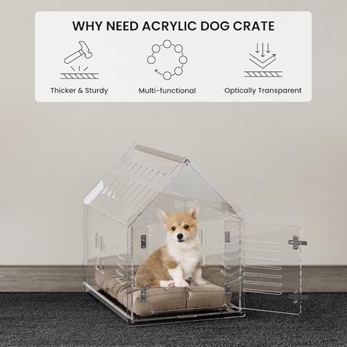 Clear acrylic modern indoor dog crate — photo 4