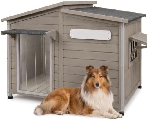 Extra large kennel with asphalt roof