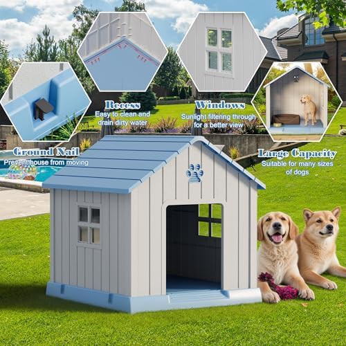 Large blue ventilated outdoor dog house — photo 4