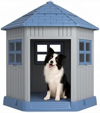 Blue elevated small shelter with window