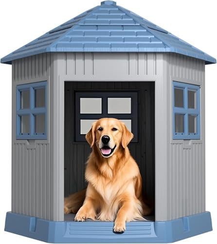 Blue elevated small shelter with window — photo 4