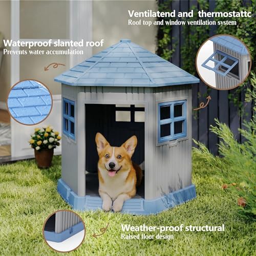 Blue elevated small shelter with window — photo 5