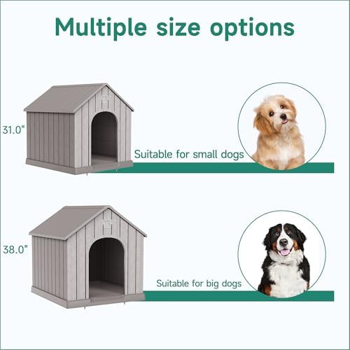 Grey elevated large kennel with vents — photo 4