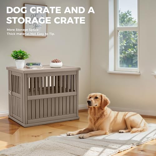 Resin outdoor dog kennel with ventilation — photo 3
