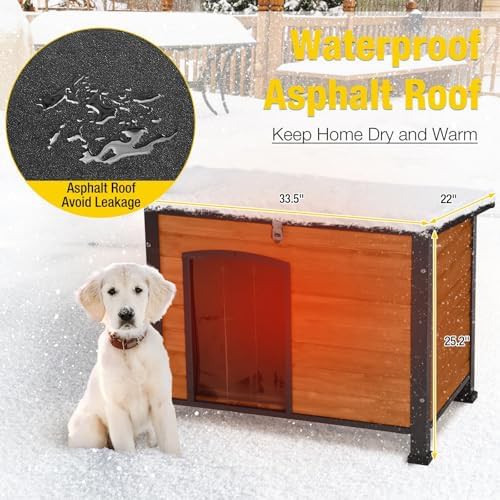 Heated kennel with insulated liner — photo 5