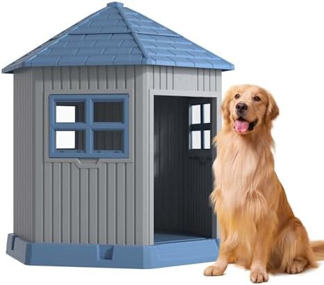 Small elevated kennel with side window