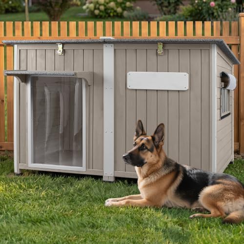 Chew proof iron frame large house