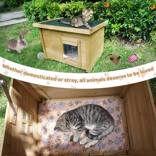 Yellow wooden elevated winter pet house — photo 4