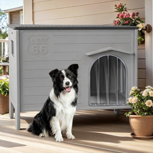 Large Elevated Weatherproof Pet Shelter