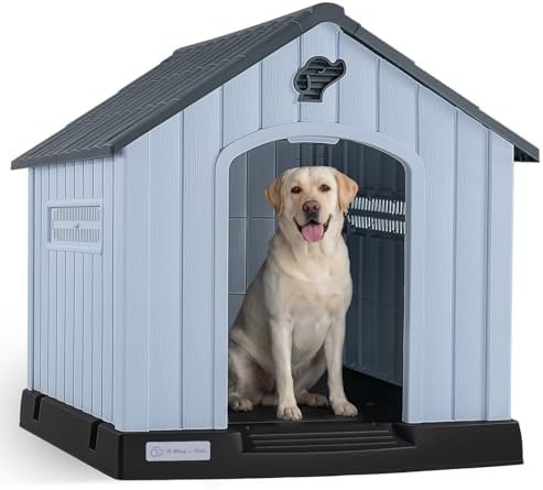 Medium gray plastic house with elevated floor