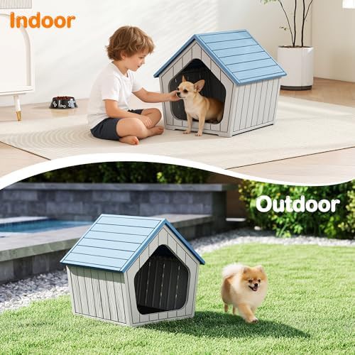 Small blue plastic pet shelter for indoors — photo 5