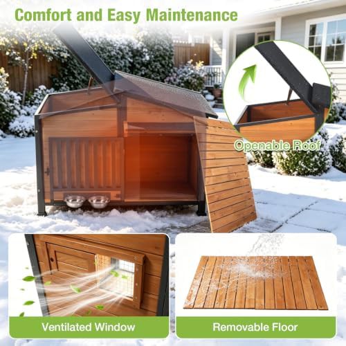 Large heated kennel with rotatable bowl — photo 5