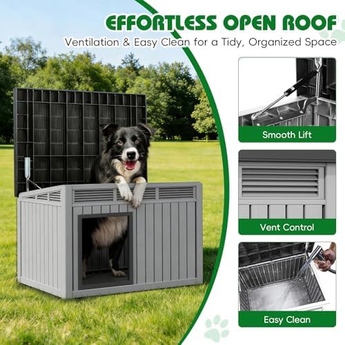 Large plastic kennel with removable roof — photo 3