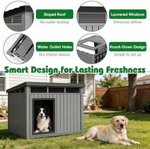 Large plastic kennel with removable roof — photo 5
