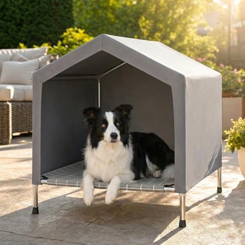 Elevated Medium Dog Bed with Removable Canopy