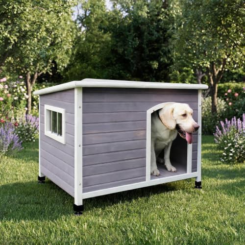 Large Wooden Elevated Outdoor Dog House