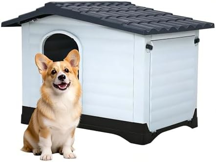 Two Door Dog House with Fold Out Porch